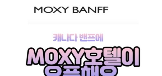 벤프 메리어트 체인 호텔 moxy 목시 오픈 Marriott Hotel